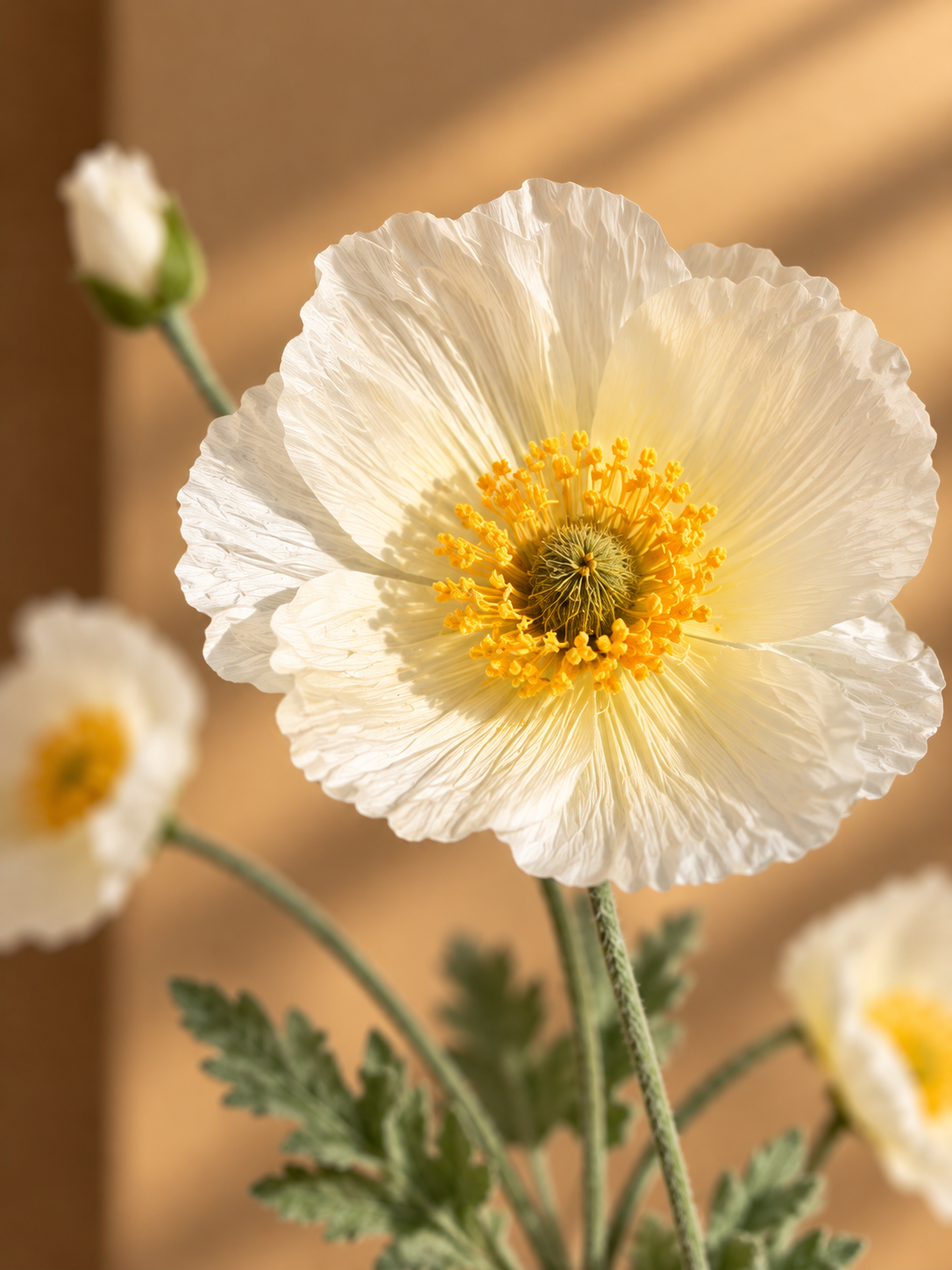 Hvid Value Blomst