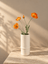 Orange Valmue Blomst