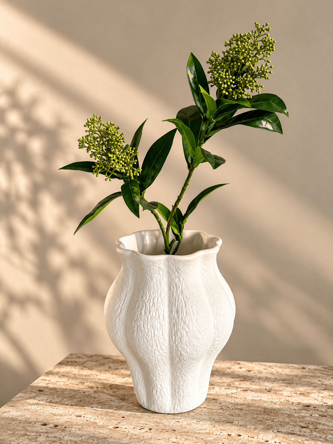 Skimmia Vinterbær - Grøn