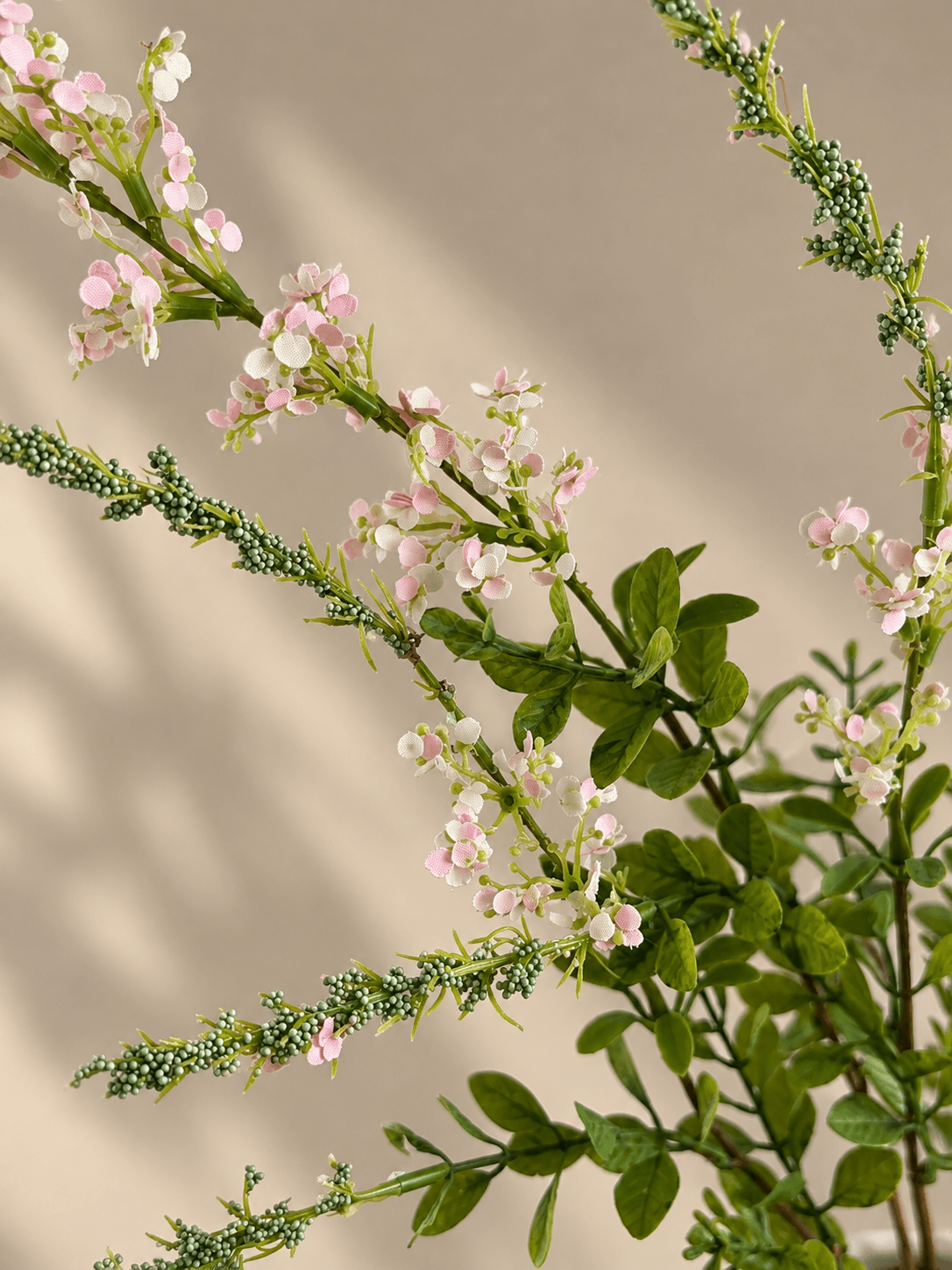 Salvie Blomst - Pink